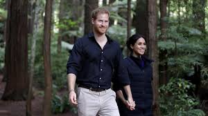 Es enthält 51 seiten und wurde von ian a. Wird Das Das Lieblings Buch Von Prinz Harry Meghans Baby Promiflash De