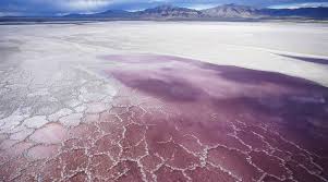 The water level has declined rapidly on two occasions, once. Wildlife As Great Salt Lake In Utah Close To Historic Low In Air High Quality Threat Digital India Web