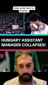 Hungary Assistant Manager Adam Szalai Collapses During Netherlands 4-0 Match