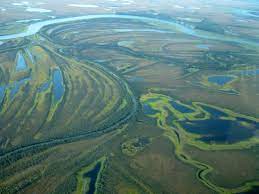 Popular activities include backcountry camping, hiking, backpacking, boating, and dog sledding. Kobuk Valley National Park Wikipedia