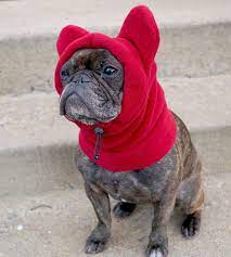 Snorf Industries Adjustable Bathat Sport The Plush Fleece Hat That Keeps Ears Warm Great For Frenchies Boston Terriers Pugs Bulldog Puppies Boston Terrier Pug Fleece Hat