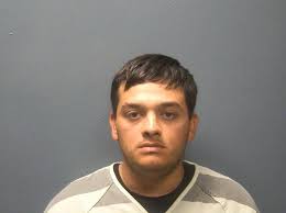 Couple leaves dog inside hot car while shopping at Walmart, Sevierville  police say