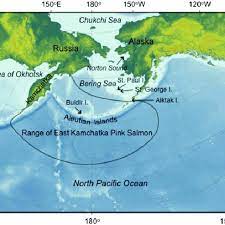 No need to register, buy now! The Northern North Pacific Ocean And Bering Sea And Locations Of Places Download Scientific Diagram