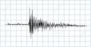 Image result for Photos of  earthquake tremors