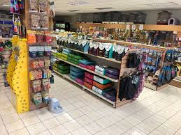 7 Recommended Pet Stores In Jakarta Flokq Blog
