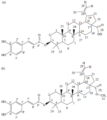 Image result for Momordica boivinii