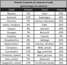 Usda Protein Percentage In Common Foods Protein Sources