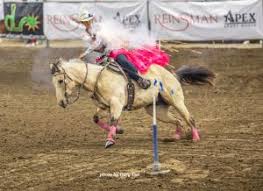 Mid-South Horse Review