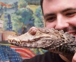 Prehistoric Beast of the Week: April 2014