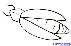 Learn how to draw firefly simply by following the steps outlined in our video lessons. How To Draw A Firefly Step By Step Bugs Animals Free Online Bugs Drawing Drawings Firefly Drawing