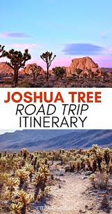 Weekend In Joshua Tree Your 2 Days In Joshua Tree National Park Itinerary California Crossroads Joshua Tree National Park California Travel National Parks Trip