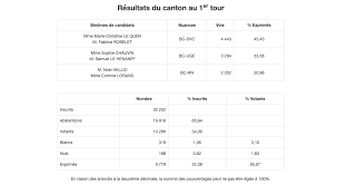 Élections régionales et départementales 2021, (double) mode d'emploi. Gbiff1bx716nhm
