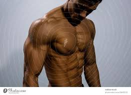 Chest muscles anatomy for bodybuilders. Fitness Model Torso With Pectoral Muscles Flexed A Royalty Free Stock Photo From Photocase