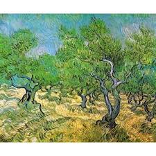 Olive Grove Canvas Art Vincent Van Gogh 20 X 24 Vincent Van Gogh Art Van Gogh Art Van Gogh Paintings