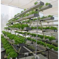 Alibaba.com offers 11,271 nft hydroponic system products. Nft Hydroponic Systems 190 Plants A Frame System Hydrilla