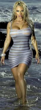 Nicole Coco Austin Hot Blonde Celebrity In Soaking Wet Grey Dress Krasivye Zhenshiny Pyshnye Zhenshiny Zhenshina