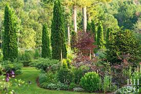This Mixed Flower And Vegetable Garden Beautifully Breaks All The Rules Vegetable Garden Berry Garden Garden Layout