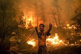 Maybe you would like to learn more about one of these? Incendies En Grece Et En Turquie Panorama Apocalyptique Sur L Ile Grecque D Eubee La Presse