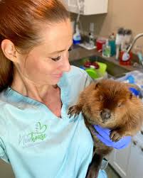 Newhouse Wildlife Rescue