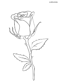 You will get to help keep the flowers you were given, nevertheless, it is not extremely practical in order to do this for each solitary flower. Flowers Coloring Pages Free Printable Flower Coloring Sheets
