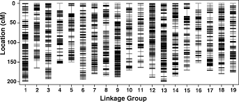 Designed by laurent jorlo, this modern, timeless graphic represents france, which stays true to itself, whilst integrating. Novel Stable Qtls Identification For Berry Quality Traits Based On High Density Genetic Linkage Map Construction In Table Grape Bmc Plant Biology Full Text