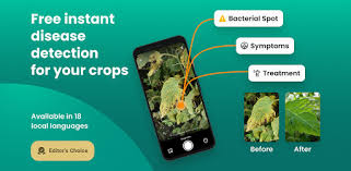 In addition to identifying flowers and plants, these apps can also identify products, books, and, in google lens's case, even places. Plantix Your Crop Doctor Apps Bei Google Play