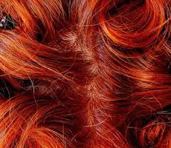 Auburn hair colors are a warm red color that flatters most skin tones and eye colors and can be the perfect option. Auburn Over Gray Good Instructions W Pics Henna Hair Henna Hair Color Natural Hair Styles