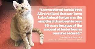 Professional pet sitters located in and around austin, texas. Animal Adoption Foster Numbers Up As Austin Community Comes Together To Support Shelters Community Impact Newspaper