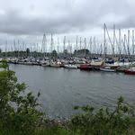 Pin Von Versicherungsagentur Marcus Si Auf Versicherungsagentur Marcus Sill E K Allianz Generalvertretung Bochum Wattenscheid Fertigpool Immobilienbewertung Pool Thermometer