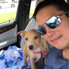 Common causes why my truck won't go into 2WD? Started truck in 4wd auto,  stopped, put it park, switched into 2WD and nada. It'll go into 4wd auto  and 4 low, but