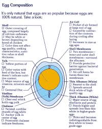 Check spelling or type a new query. Parts Of A Hen S Egg Science Projects