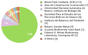 Image result for Aeschynomene heurckeana