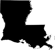 Louisiana Primary Election Results 2020 Npr