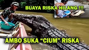 We did not find results for: Riska Buaya Paling Manja Riska Dalam Mimpi Ambo Kenapa Pertama Kali Dalam Hidup Ambo Melakukan Youtube