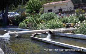 Tree house & fish farm, bentota. Trout Fish Farm Tenerife Aguamansa At Reforestation Nursery