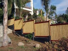 We did not find results for: Inspirasi Pagar Bambu Untuk Rumah Minimalis Paling Dicari