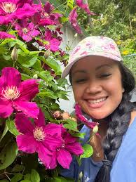 White Clematis and Pink Primose in Bloom in Nashville, Tennessee