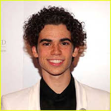 Long haired light skin cheeks with no spots pimples he like girls with great personality`s and looks. Cameron Boyce S Friends Family Remember Him 1 Year After His Passing Aramis Knight Booboo Stewart Cameron Boyce China Mcclain Dove Cameron Karan Brar Sarah Jeffery Skai Jackson Sofia Carson Sophie