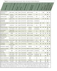 selecting legumes as green manure cover crops