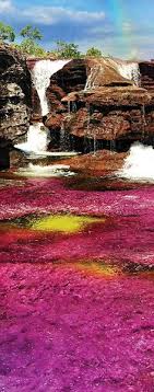 El explorador, fotógrafo y artista venezolano inaugura este viernes 28 de mayo, a las 6:00 pm, la exposición fishes of the. 53 Ideas De Cano Cristales Cano Cristales Paisajes De Colombia Colombia