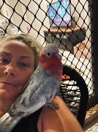 HELP HELP I'M LOST I went for a free fly