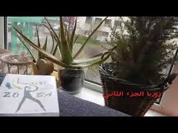 Maybe you would like to learn more about one of these? ØªØ­Ù…ÙŠÙ„ ÙƒØªØ§Ø¨ Ø¹Ø¸Ø© Ø§Ù„Ù†Ø§Ø´Ø¦ÙŠÙ† Pdf