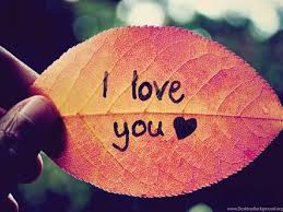 Check spelling or type a new query. I Love You Wallpapers Hd For Mobile Love Full Screen Wallpaper Hd 1024x768 Download Hd Wallpaper Wallpapertip