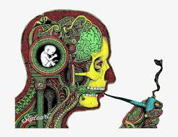 Check spelling or type a new query. Psychedelic Man Smoking Dope Design By Nelson Man Smoking Trippy Weed Backgrounds Transparent Png 691x560 Free Download On Nicepng