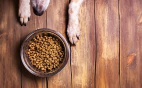 Nutrition General Feeding Guidelines For Dogs Vca Animal