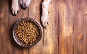 nutrition general feeding guidelines for dogs vca animal