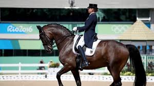 Check spelling or type a new query. Pferdesport Dorothee Schneiders Olympia Pferd Fallt Aus