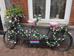 We did not find results for: Amsterdam Flowers Bicycle Bike Flower Outdoors Flower Pot Building Exterior Plant Architecture Pxfuel