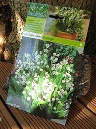 Maybe you would like to learn more about one of these? Muguet Plantation Culture Division