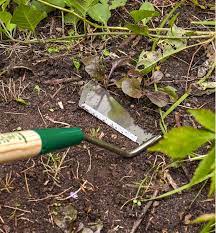 We did not find results for: Lee Valley Swoe Lee Valley Tools